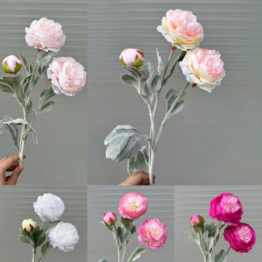 TRÀ KÉP THÂN PHẤN