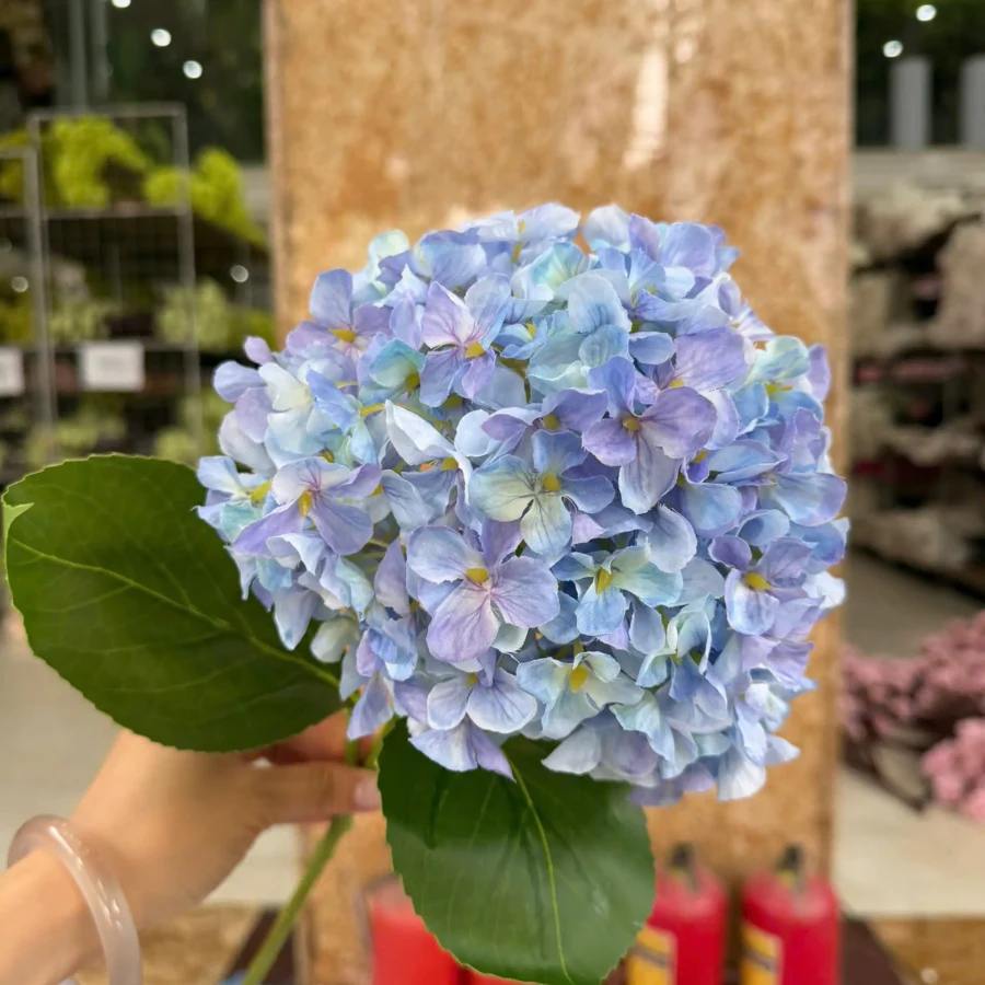 TÚ CẦU IN 3D VIP