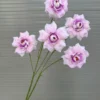 HỒNG HÀ LAN 5 BÔNG