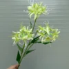BỈ NGẠN 3 BÔNG