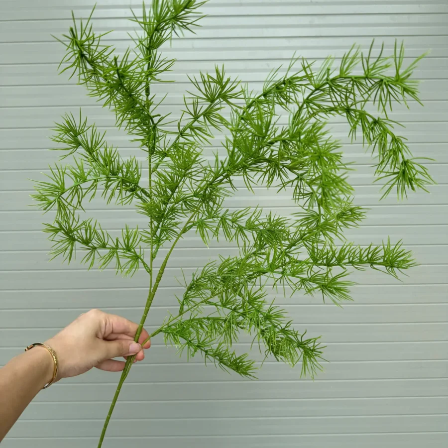 CỎ THÔNG TQ