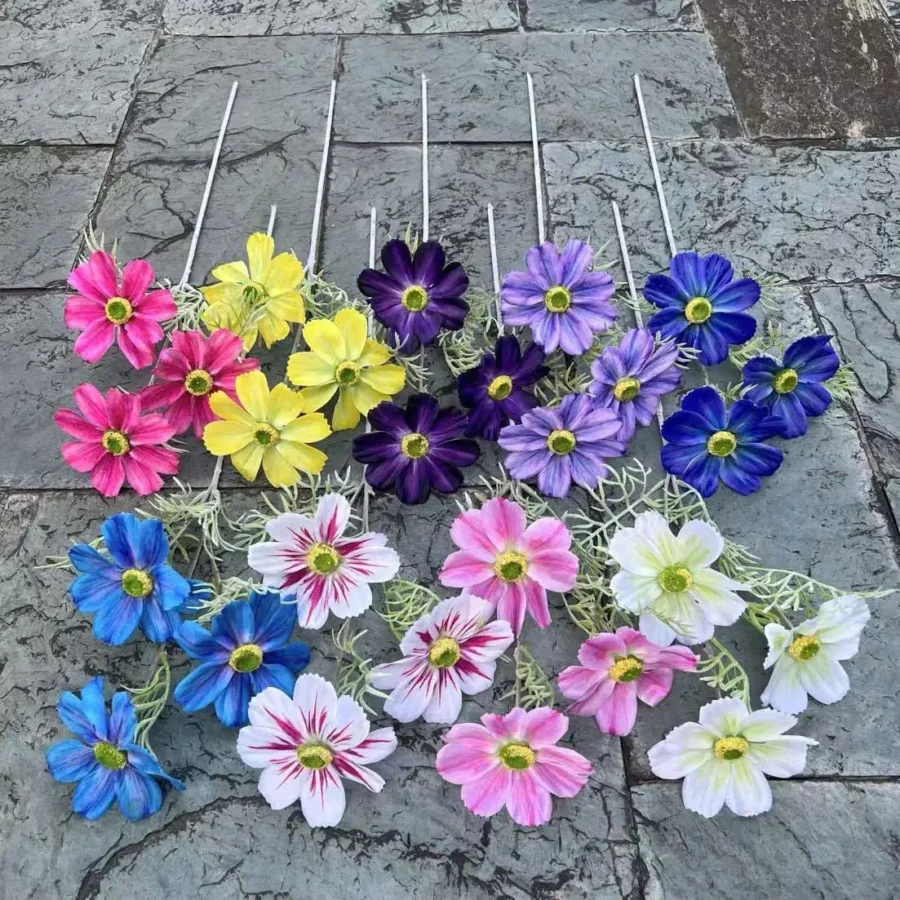 CÚC DAISY