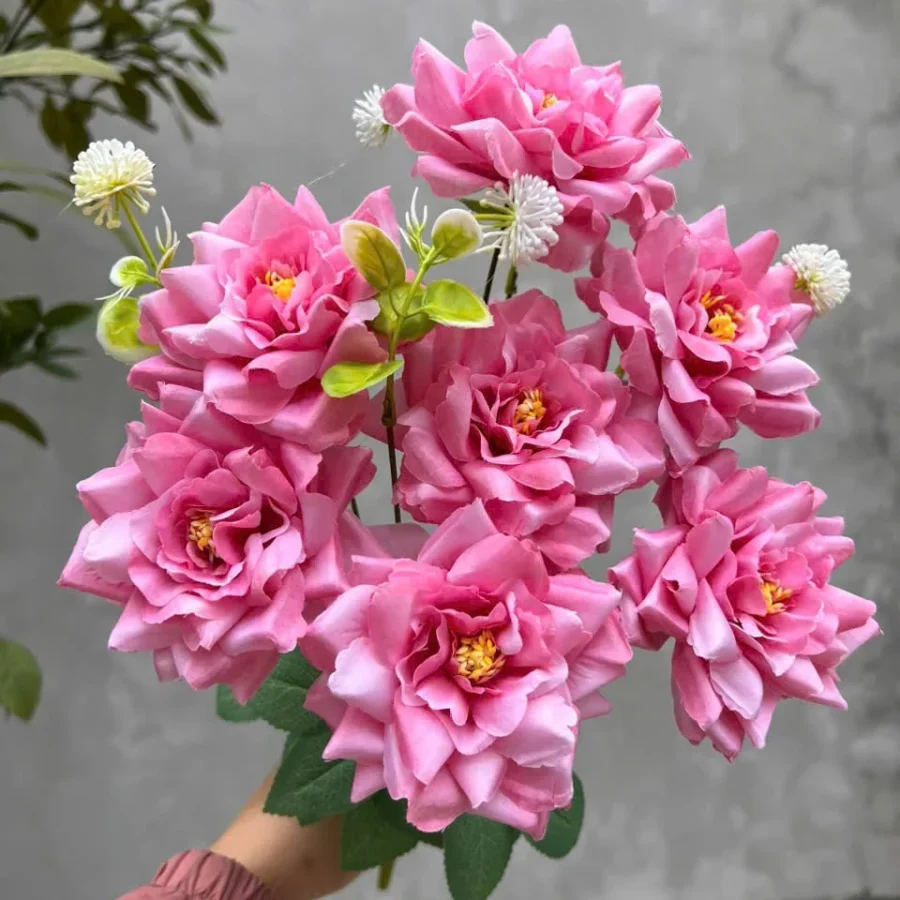CỤM HỒNG RỪNG 7 BÔNG KHÔNG LÁ