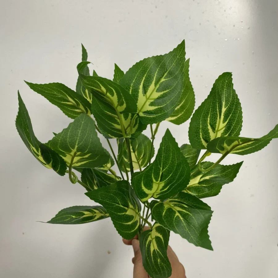 CỤM LÁ BÉ