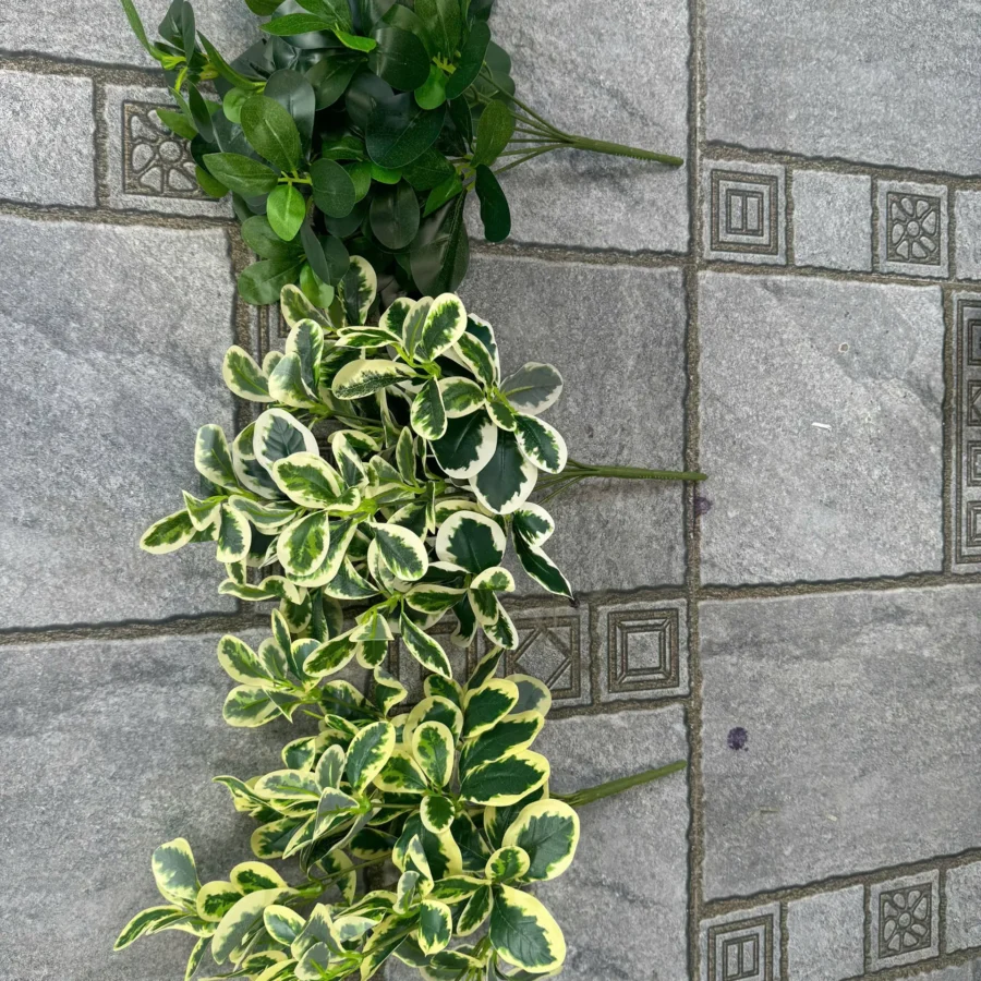 CỤM LÁ HOA SỮA