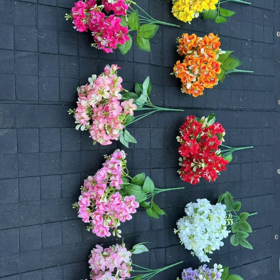 CỤM LẠC TIÊN