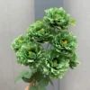 CỤM MỘC TRÀ 7 BÔNG KHÔNG LÁ