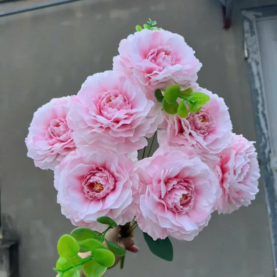 CỤM TRÀ TƠ 7 BÔNG KHÔNG LÁ
