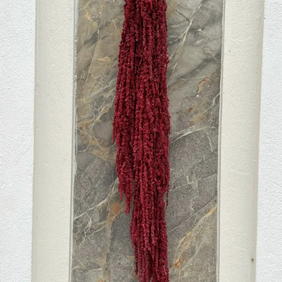 RỦ DỀN KHÔ