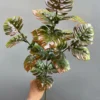 ĐIỂM LÁ RÙA VN