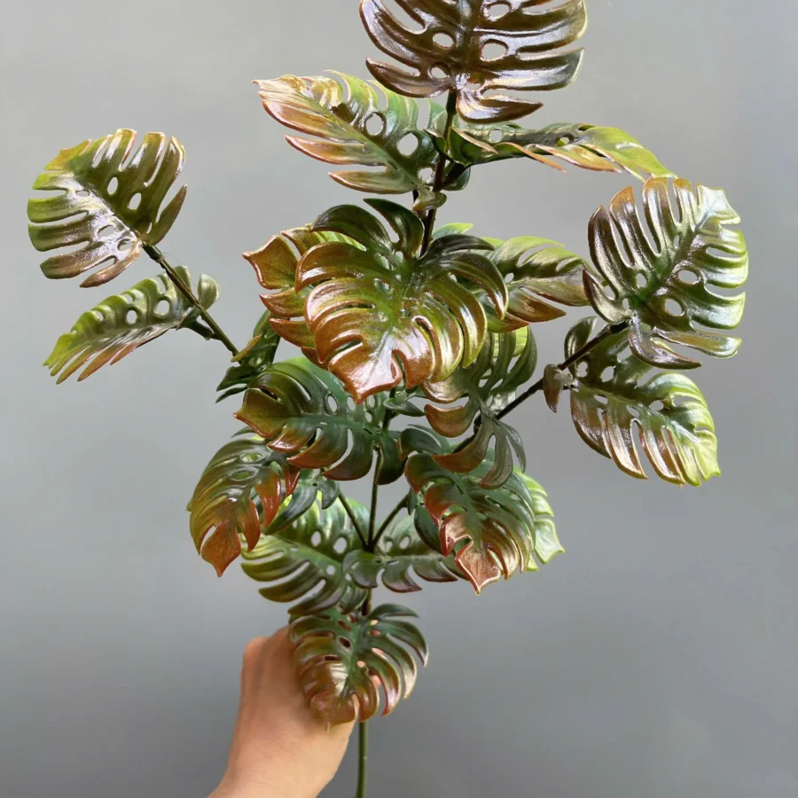 ĐIỂM LÁ RÙA VN