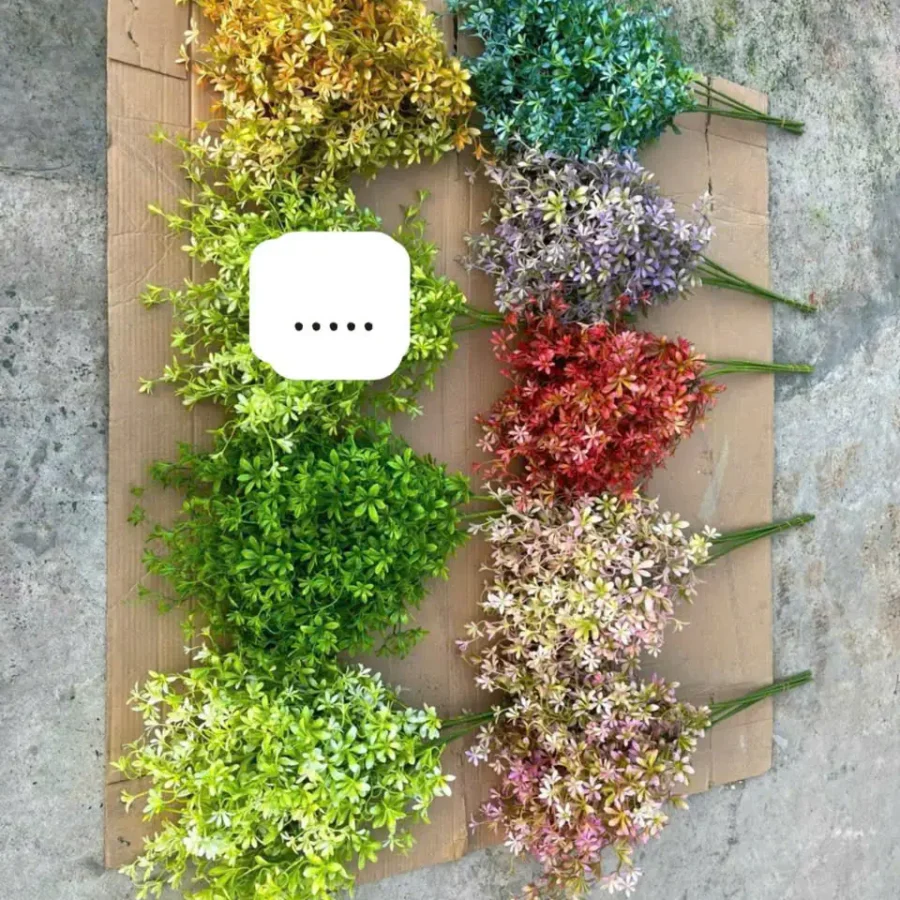ĐIỂM LY