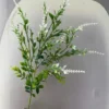 ĐIỂM TÌNH NHÂN