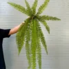 DƯƠNG XỈ ĐẠI