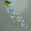 HẢI ĐƯỜNG 2 NHÁNH