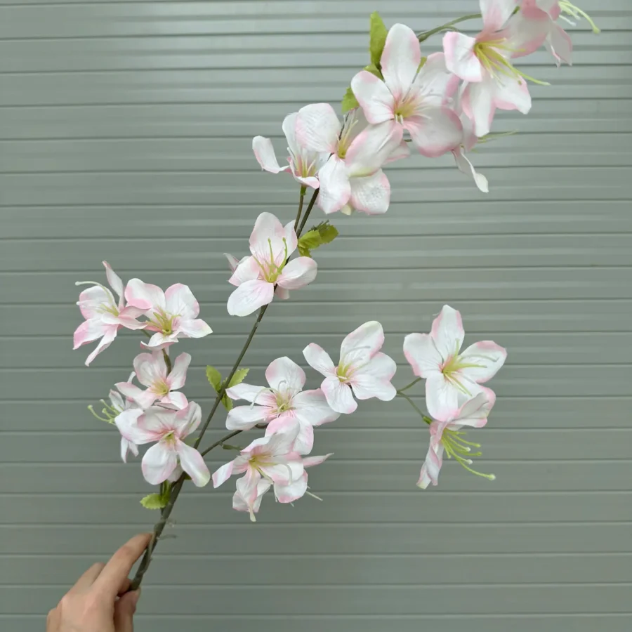 HẢI ĐƯỜNG 3 NHÁNH