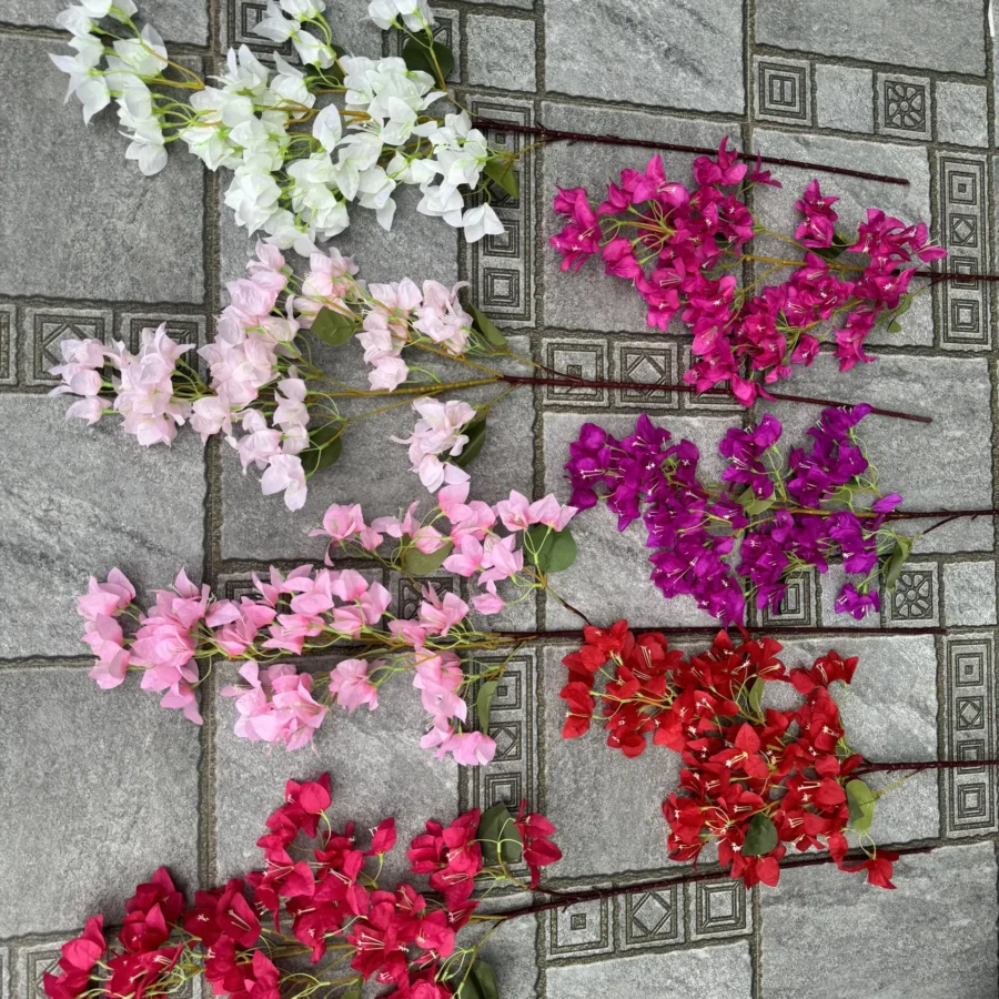 HOA GIẤY
