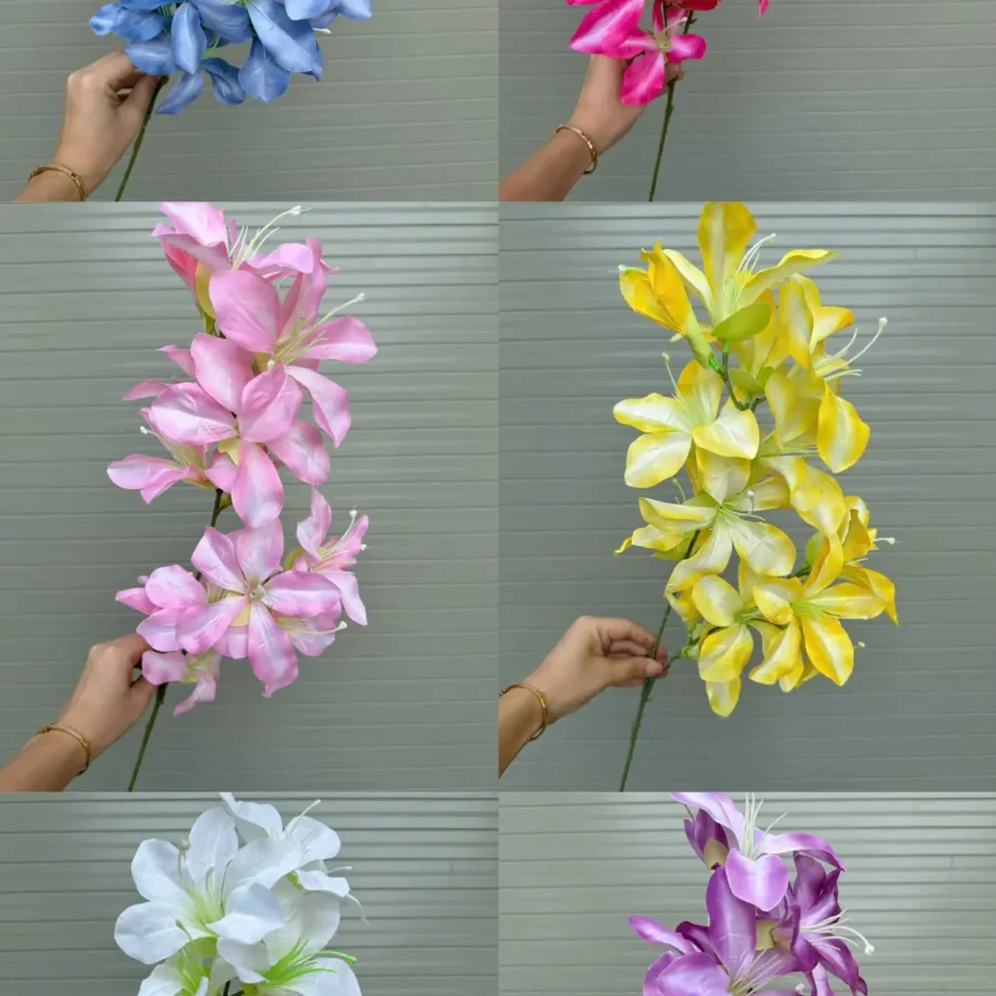 HOA LAN LỬA