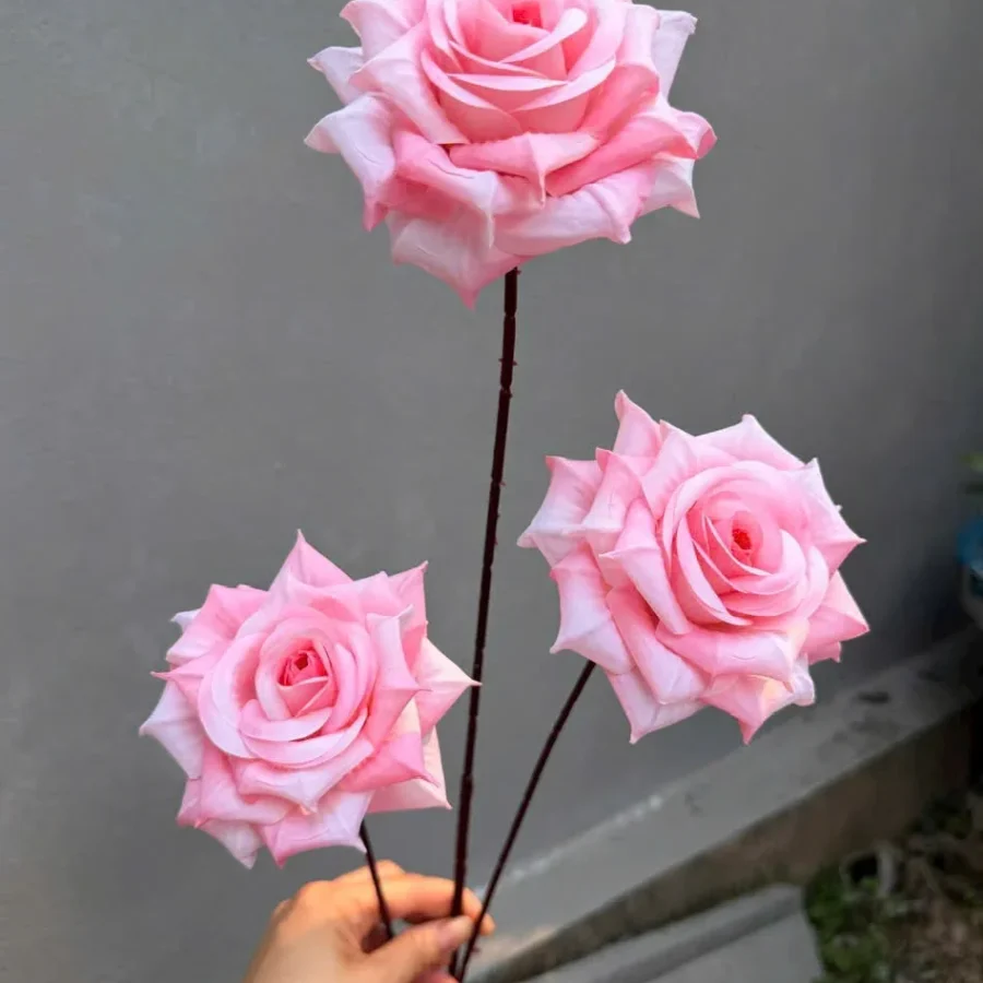 HỒNG GAI 3 BÔNG VN THÂN TO