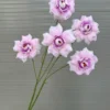 HỒNG HÀ LAN 5 BÔNG
