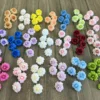 HỒNG HÀ LAN 5 BÔNG VN