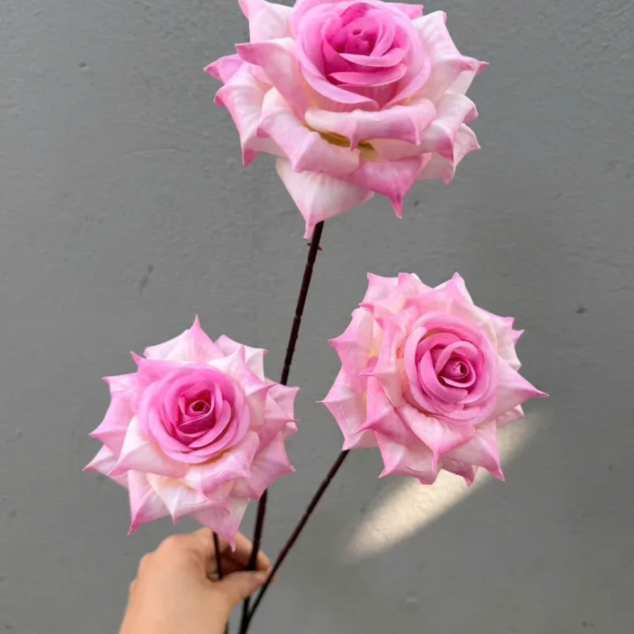 HỒNG RỪNG 3 BÔNG VN