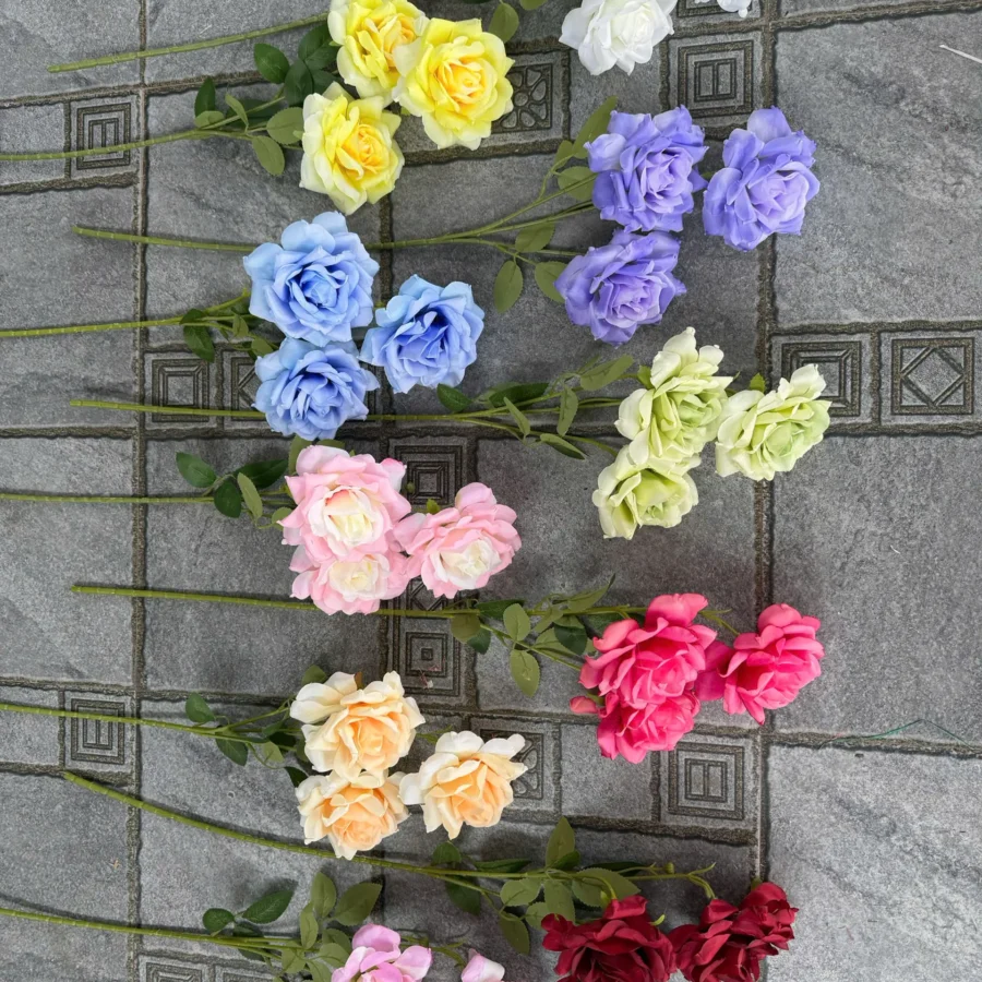 HỒNG SONG HỈ