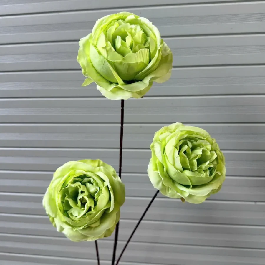 HỒNG TRỨNG 3 BÔNG THÂN TO