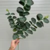 KHUYNH DIỆP 3 NHÁNH