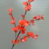 TRẠNG NGUYÊN CAO SU