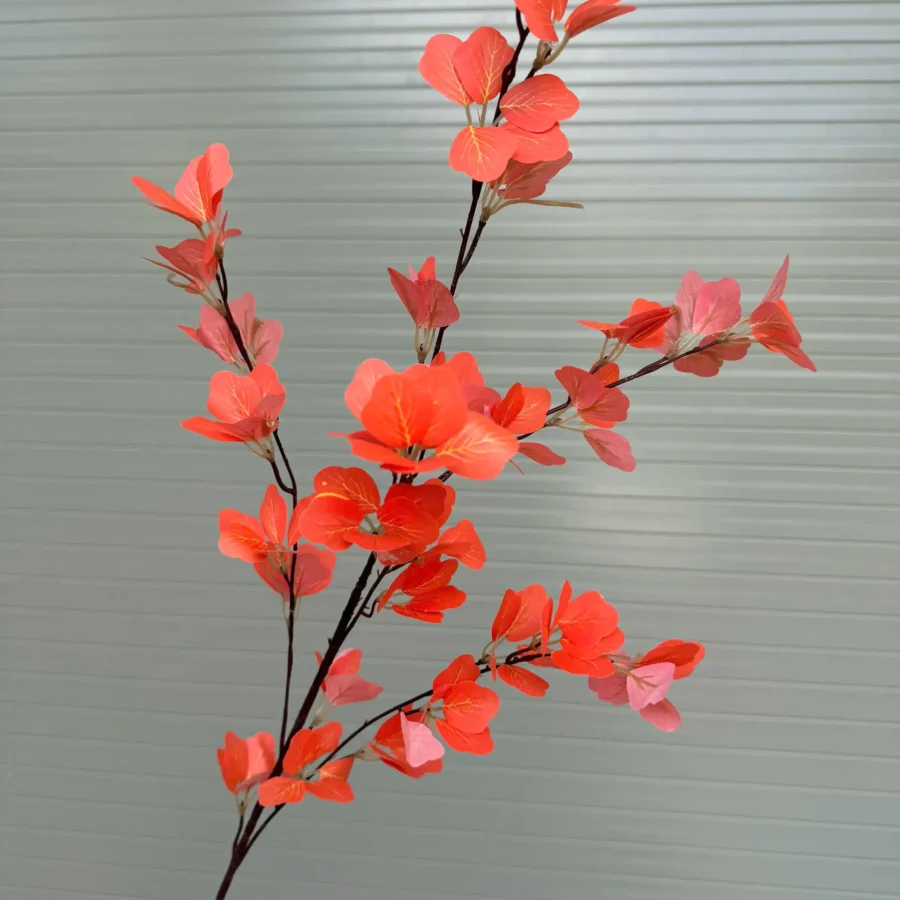 TRẠNG NGUYÊN CAO SU