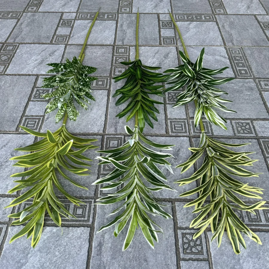 LAN CHI DÀI