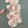 LAN GẤM 9 BÔNG