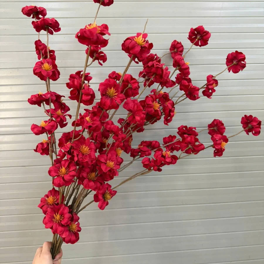 MAI RỪNG
