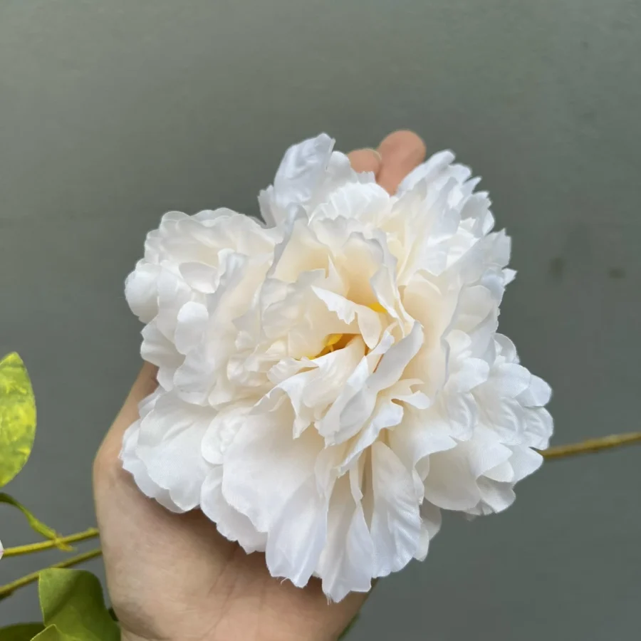MẪU ĐƠN ĐẠI