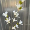 NGỌC LAN 3 NHÁNH