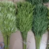 NGỌN TRE THƯỜNG