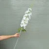 PHI YẾN KHỦNG LONG THÂN PHẤN