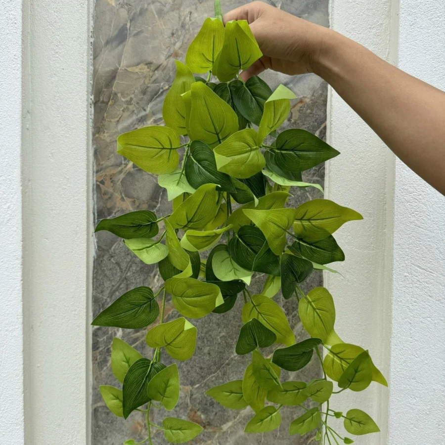 RỦ LÁ 3 NHÁNH