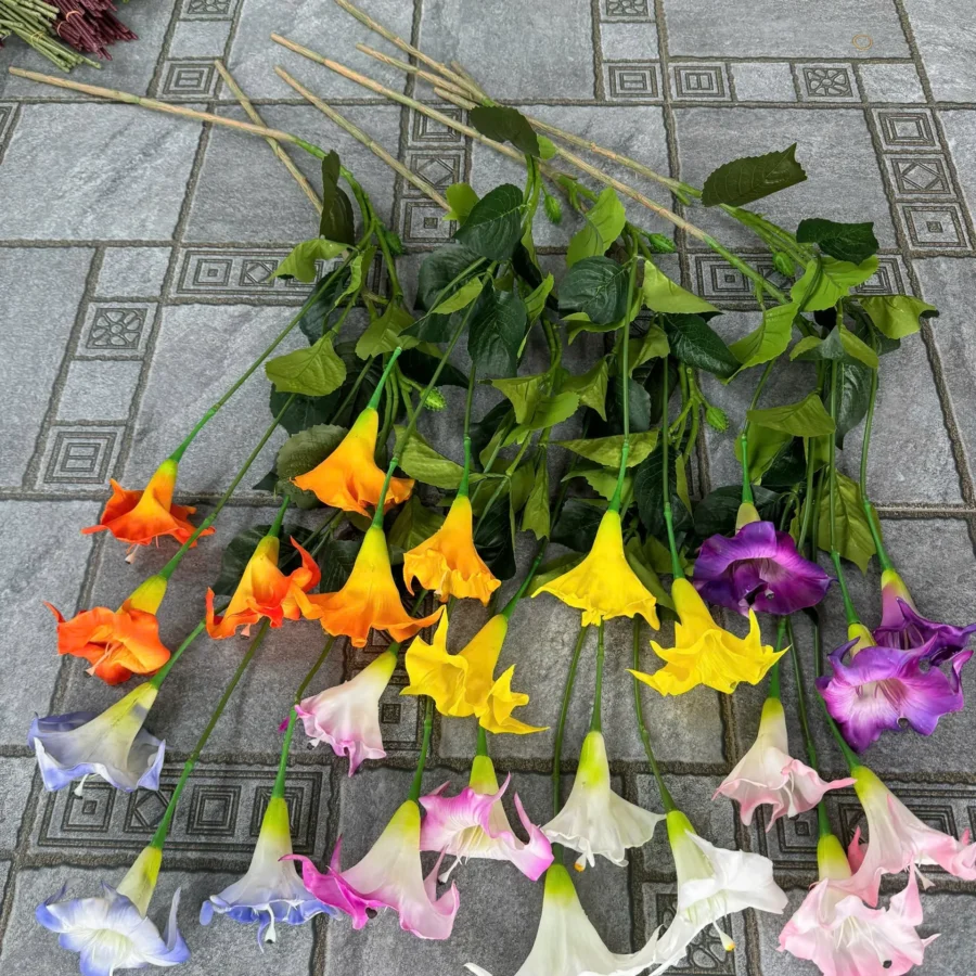 RỦ LOA KÈN