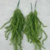 RỦ RONG