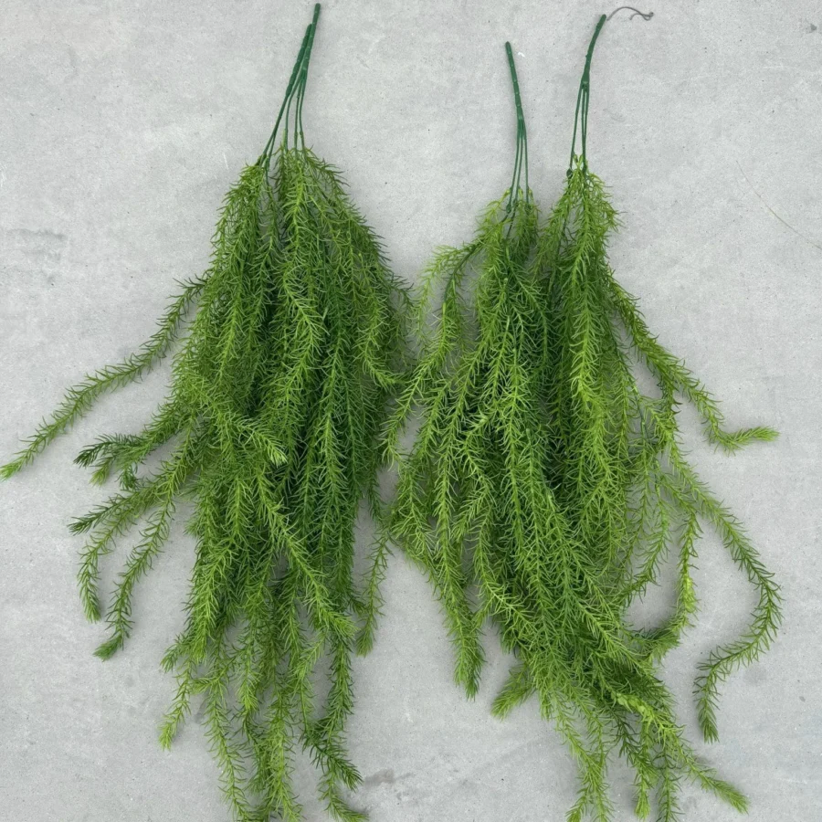 RỦ RONG