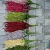 RỦ TIÊU