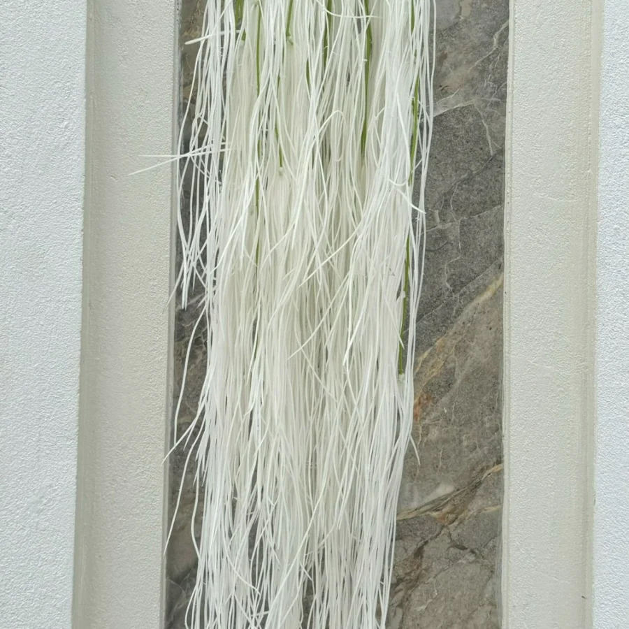 RỦ TƠ HỒNG