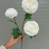 TRÀ GẤM 3 BÔNG