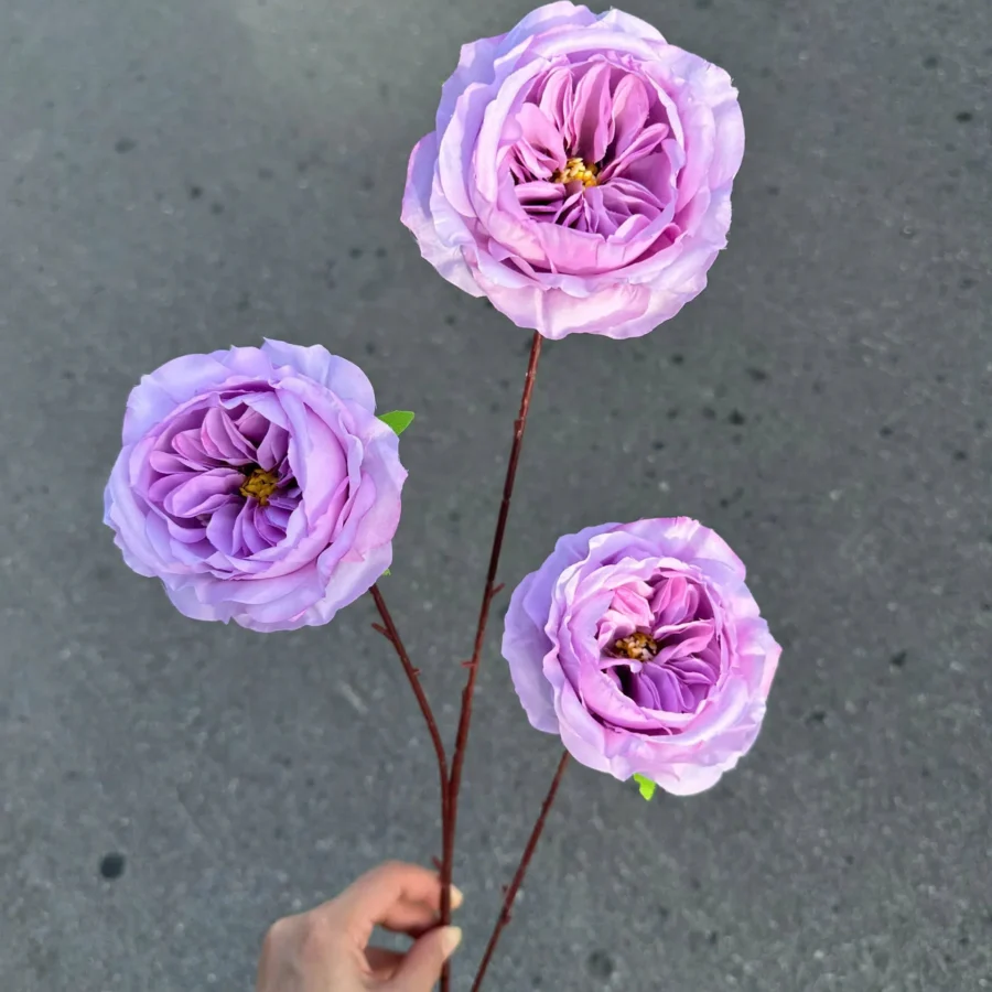 TRÀ XOÁY 3 BÔNG VN
