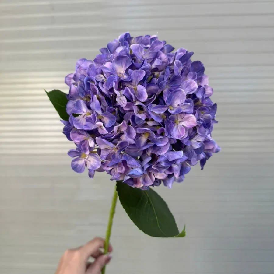 TÚ CẦU IN 3D VIP