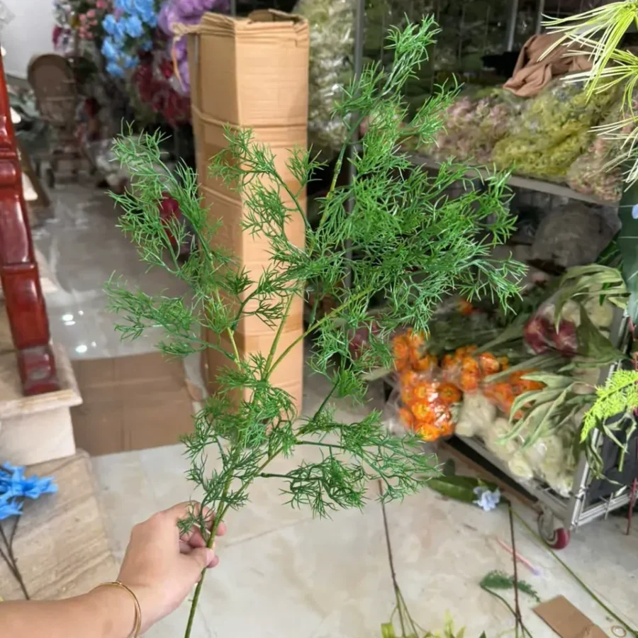 TÙNG NHO VN