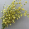 TUYẾT MAI NỤ VN