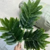 BÓ XÀ CỪ